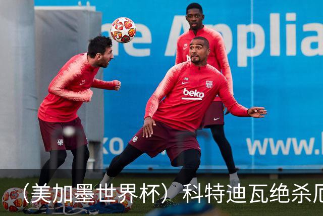 （美加墨世界杯）科特迪瓦绝杀厄瓜多尔 瑞典5:1大胜突尼斯